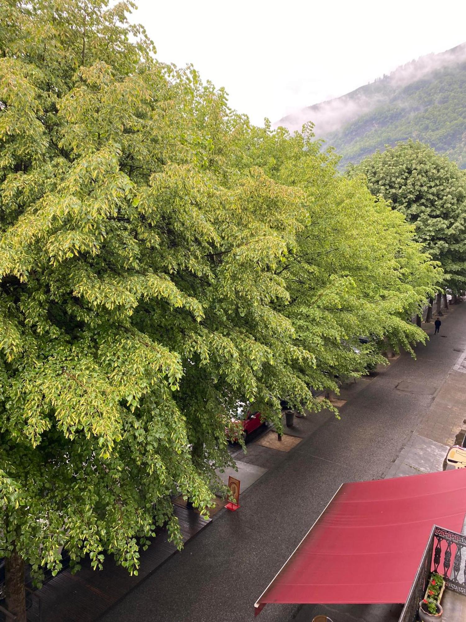 Au 47 Allees D'Etigny - Central & Standing - Avec Parking - Linge De Lit Et De Toilette Inclus Bagnères-de-Luchon Εξωτερικό φωτογραφία